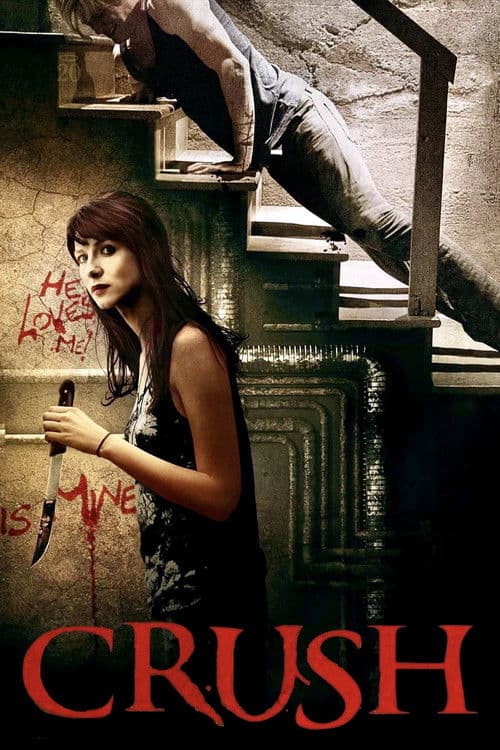 Постер до фільму «Одержима (фільм, 2013)»