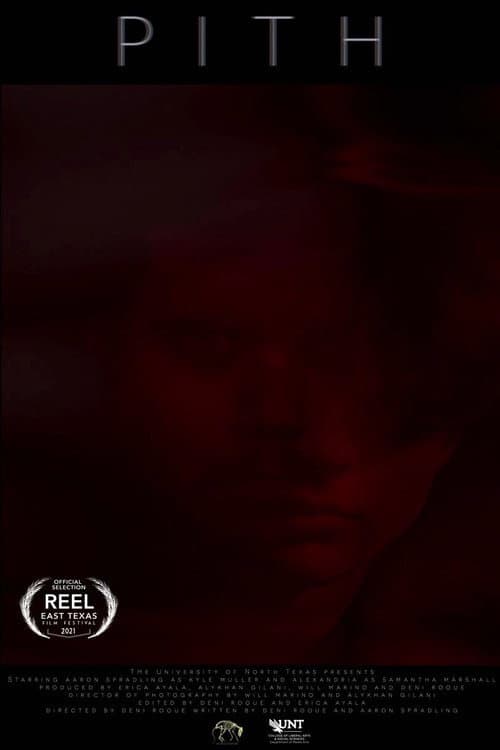 Poster for PITH