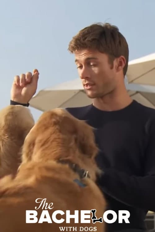Poster for The Bachelor with Dogs and Scott Eastwood