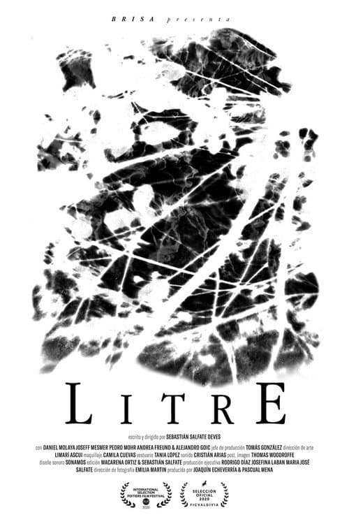 Poster for Litre