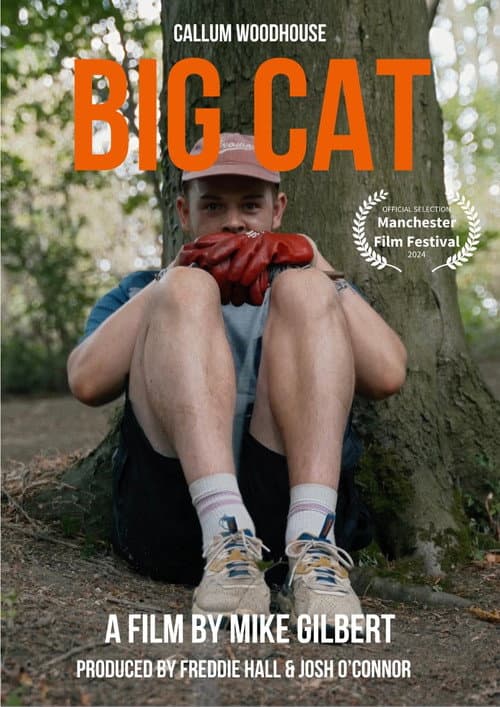 Poster for Big Cat