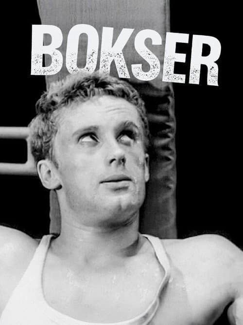 Poster for Boxer