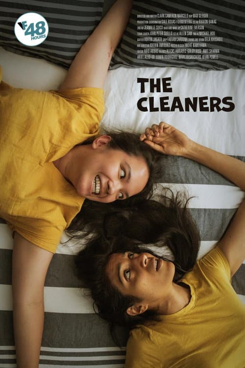 Poster for The Cleaners