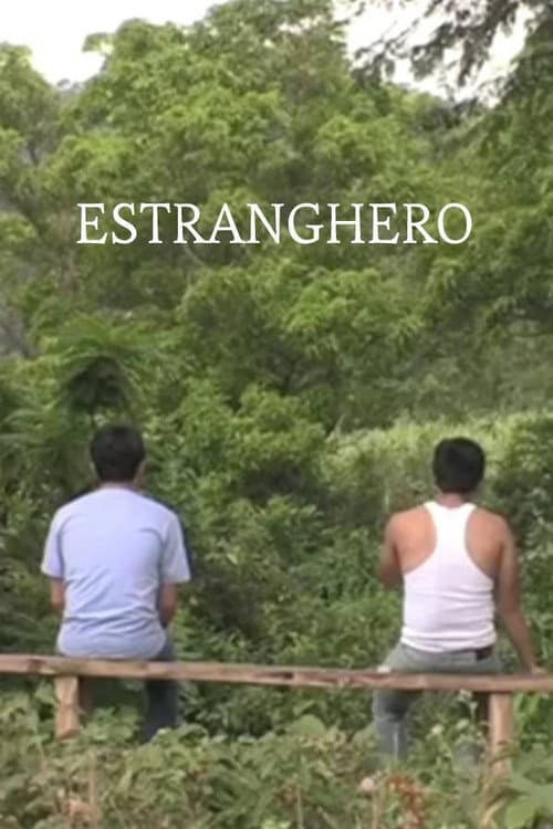Poster for Estranghero