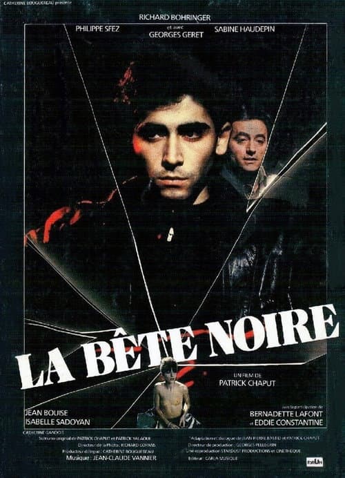 Poster for La Bête noire