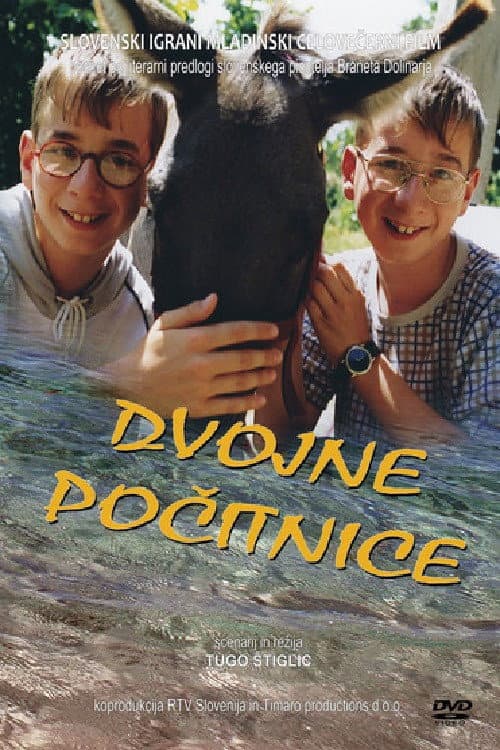 Poster for Double Holidays