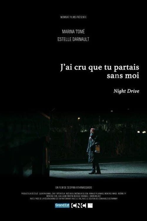 Poster for Night Drive