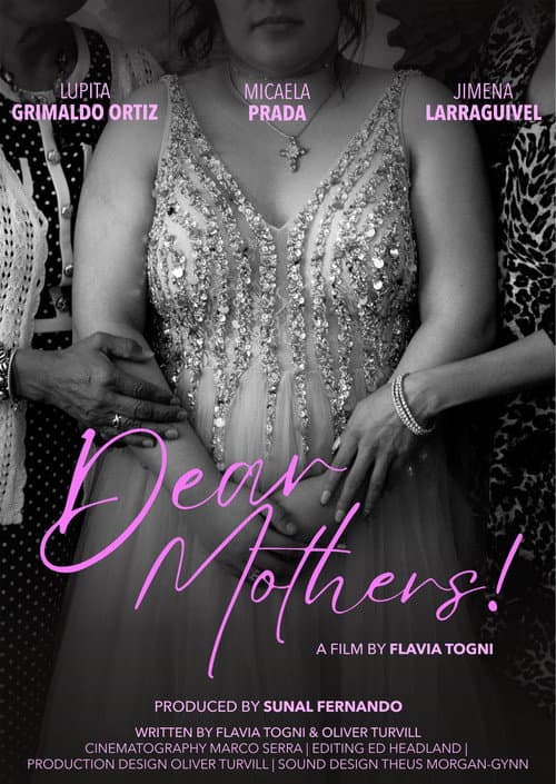 Poster for Dear Mothers!