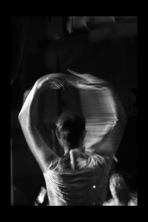 Poster for Becoming a Swan