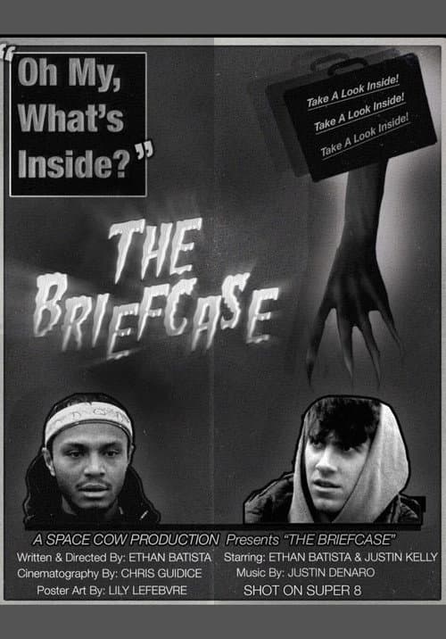 Poster for THE BRIEFCASE