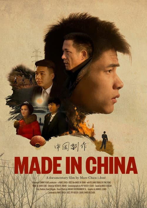 Poster for Made in China