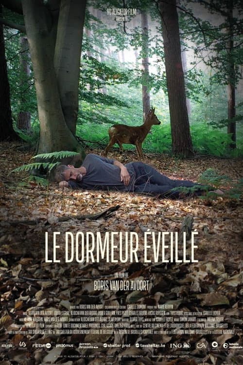 Poster for The Wakeful Sleeper