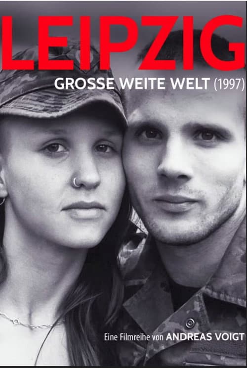 Poster for Große weite Welt