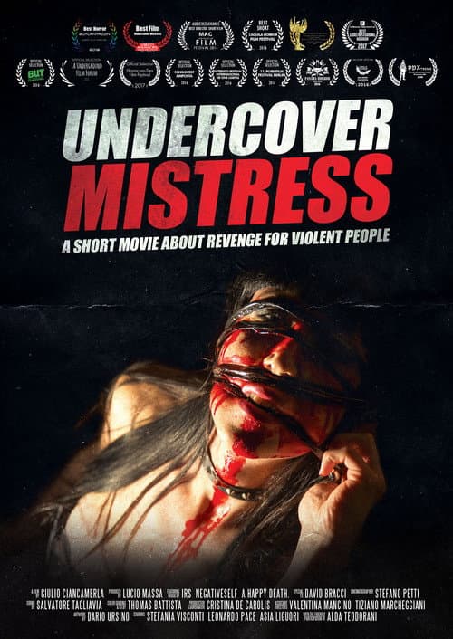 Poster for Undercover Mistress