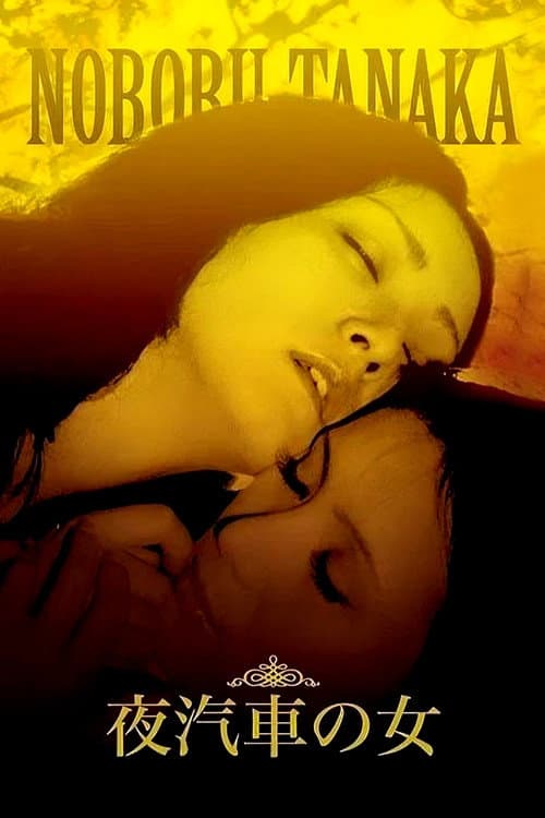 Poster for Woman on the Night Train