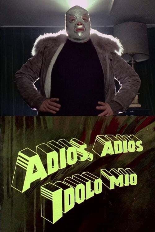 Poster for Adiós, adiós ídolo mío