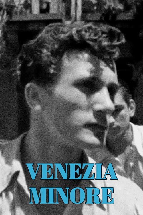 Poster for Venezia Minore