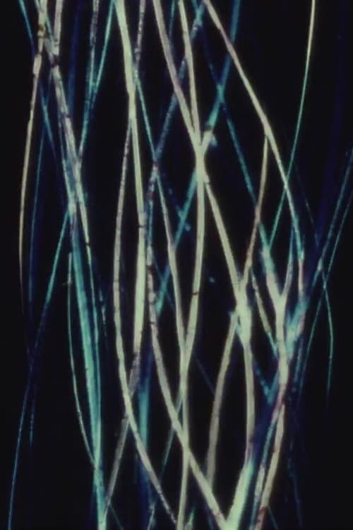 Poster for Jalousie