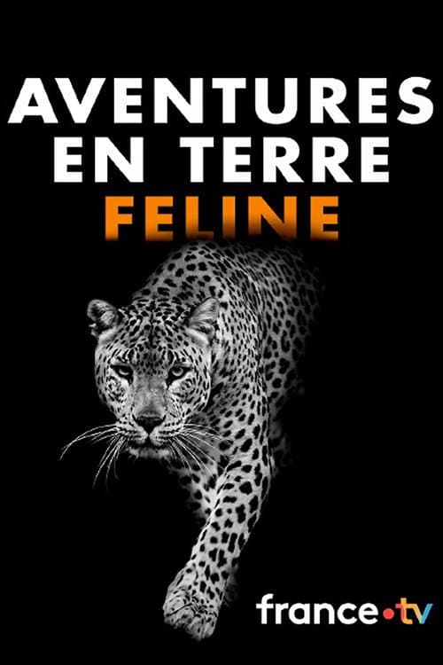 Poster for Aventures en terre féline