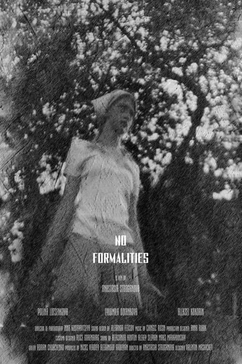 Poster for No Formalities