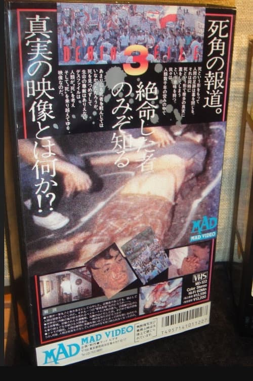Poster for New Death File III