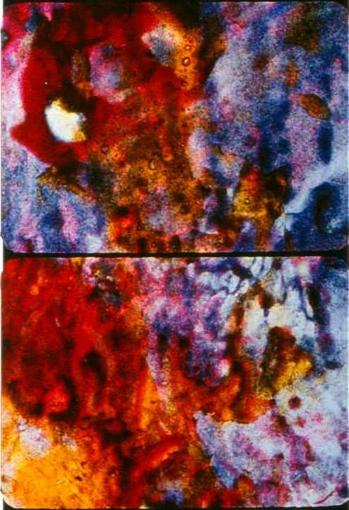Poster for Ascension