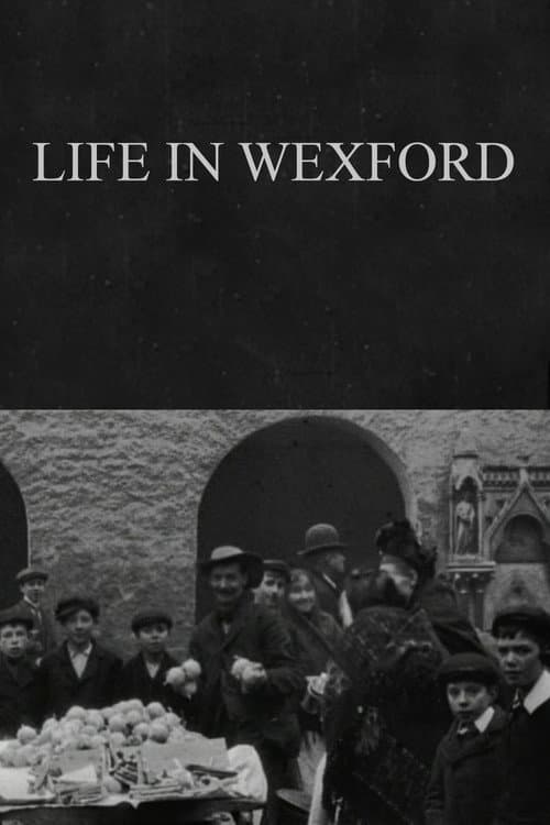 Poster for Life in Wexford