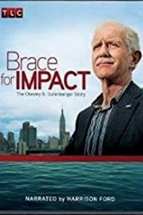 Постер до фільму «Brace for Impact: The Chesley B. Sullenberger Story»