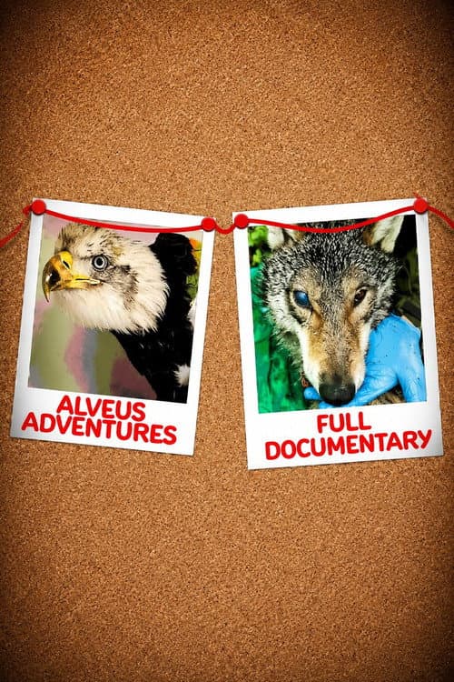 Poster for Alveus Adventures