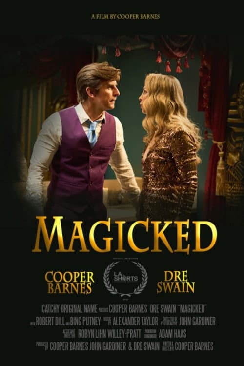 Poster for Magicked