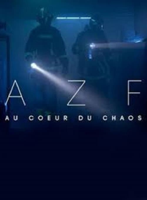 Poster for AZF : au cœur du chaos