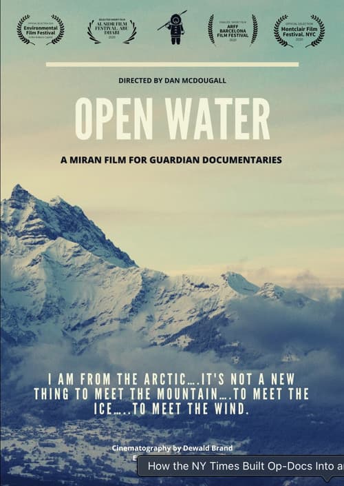 Poster for Open Water
