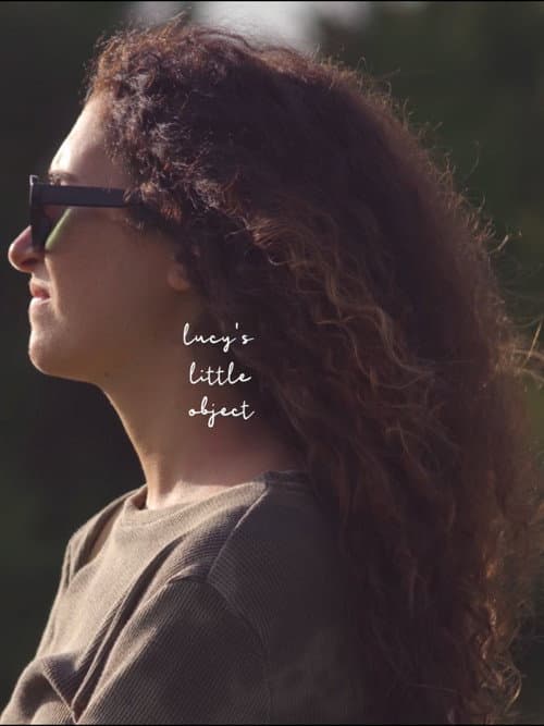 Poster for lucy's little object