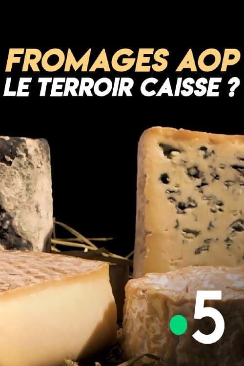 Poster for Fromages AOP : le terroir caisse ?