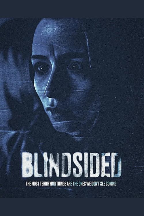 Poster for Blindsided