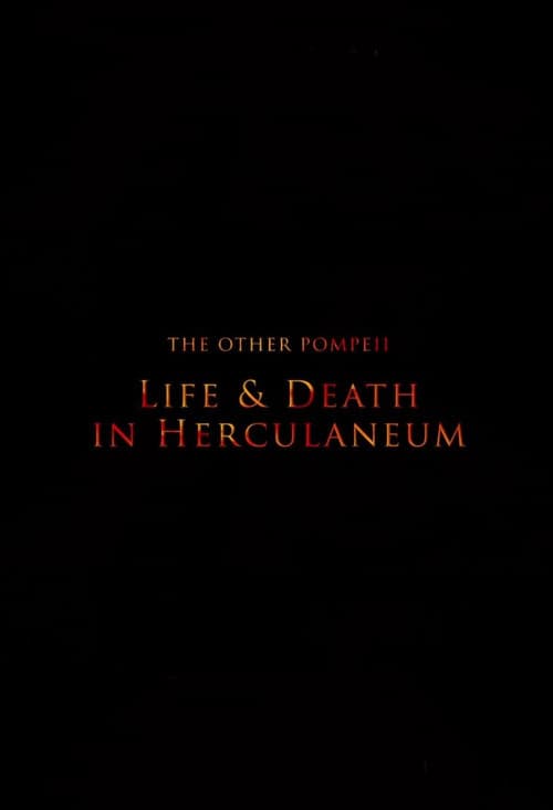Постер до фільму «The Other Pompeii: Life & Death in Herculaneum»