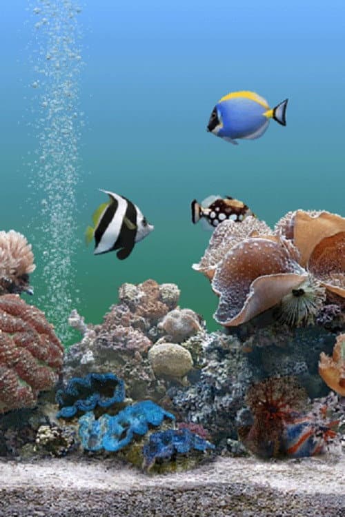 Poster for Coral Dreamscapes: An Exotic Aquarium