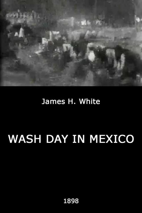Poster for Wash Day in Mexico