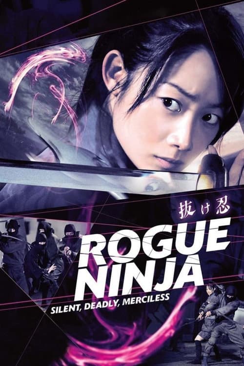 Poster for Rogue Ninja