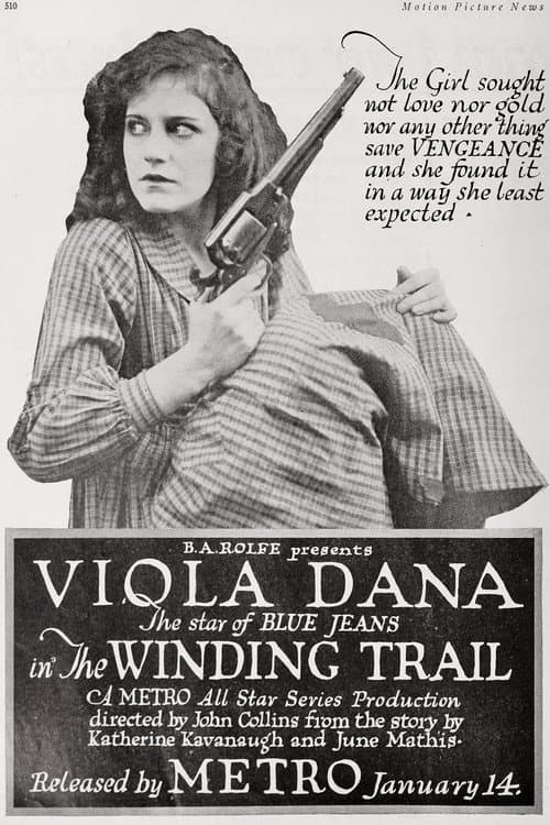 Poster for The Winding Trail