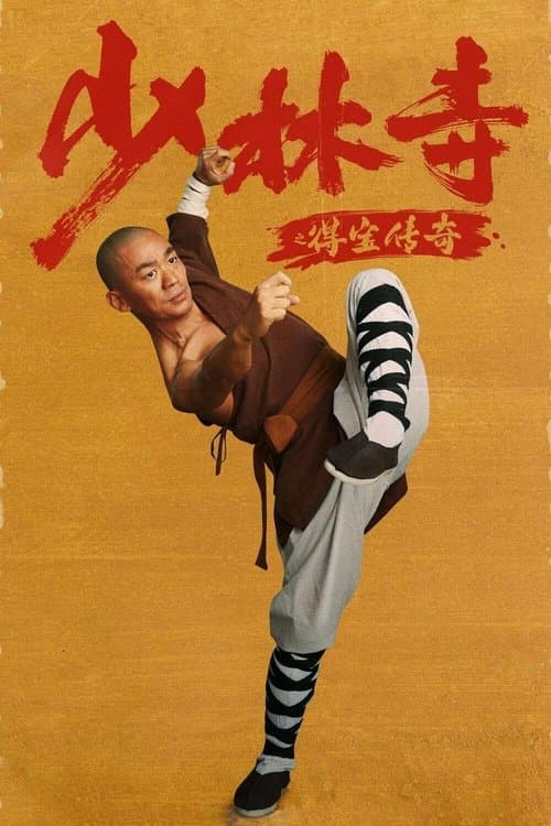 Poster for Rising Shaolin: The Protector