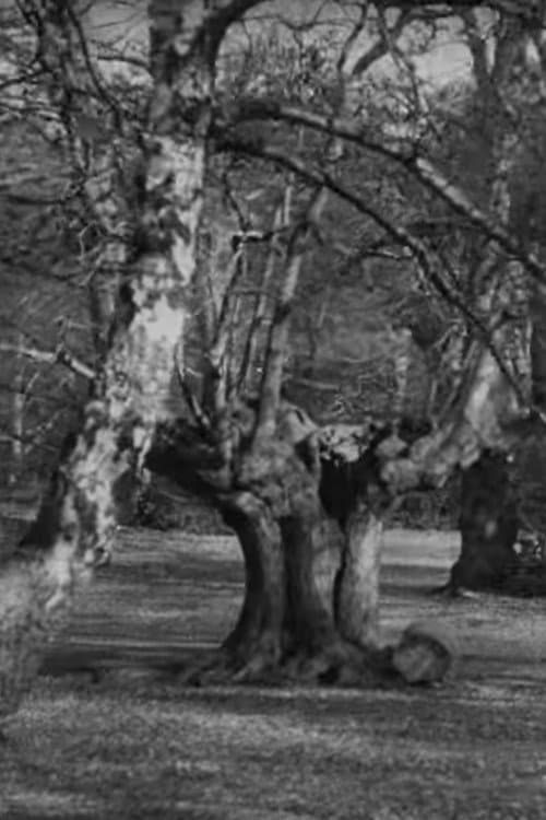 Poster for Burnham Beeches