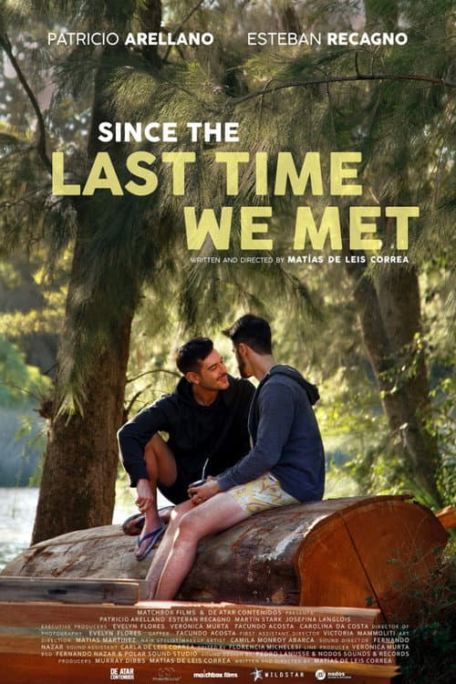 Poster for Since the Last Time We Met