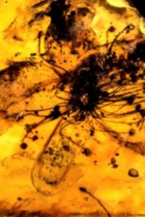 Poster for Untitled #9: Nor All Flowers of Foul