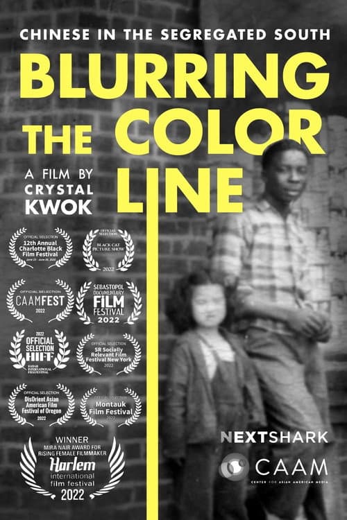Poster for Blurring the Color Line: Chinese in the Segregated South