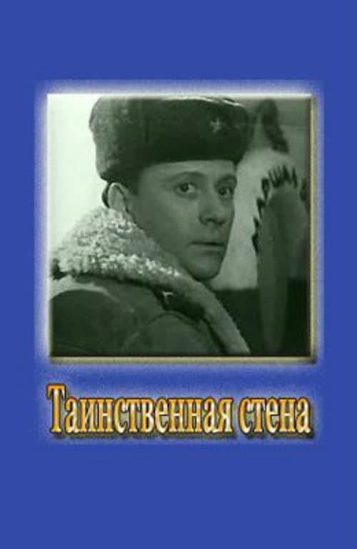 Постер до фільму «Таємнича стіна»