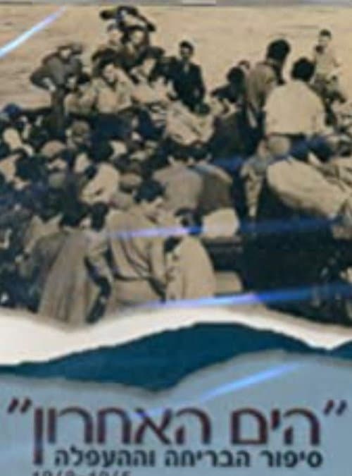 Poster for The Last Sea