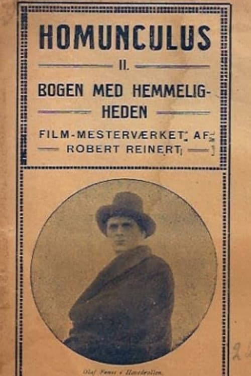 Poster for The Mysterious Book