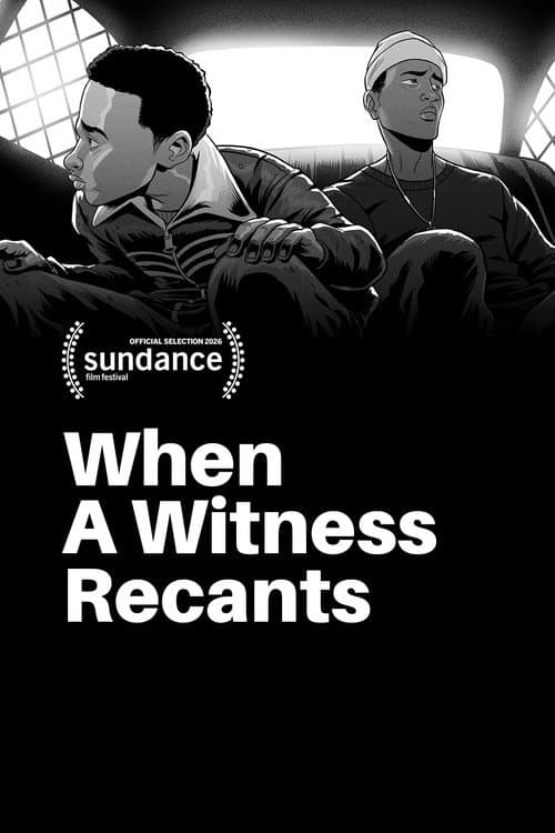 Poster for When a Witness Recants