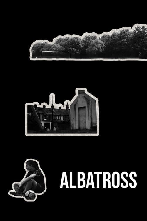 Poster for Albatross